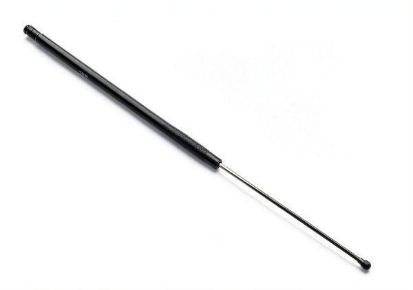 SACHS Lift Support Hood SG129005 Polished Aluminum Shock Lift Support-0
