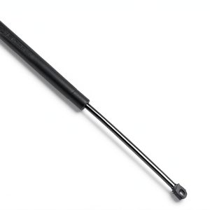 Lift Support SACHS SG330003 Hood for Buick Century 1996-1984-0